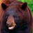 The Hauser Diet Bear Diet Type�