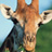 The Hauser Diet Giraffe Diet Type�