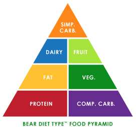 Bear Diet Type Food Pyramid