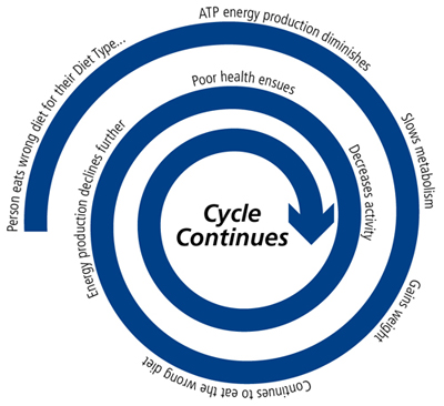 The Cycle of Eating Wrong for Your Diet Type