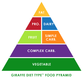 Giraffe Diet Type Food Pyramid