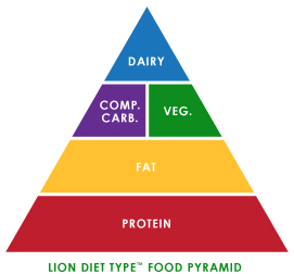 Lion Diet Type Food Pyramid