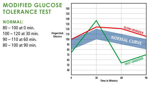 Modified Glucose Tolerance Blood Test Graph