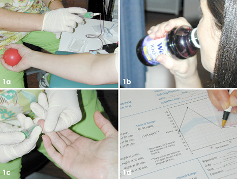 Diet Typing Procedure